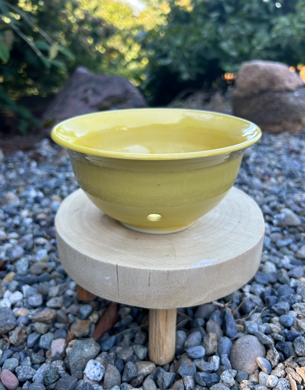 Berry Bowl 6